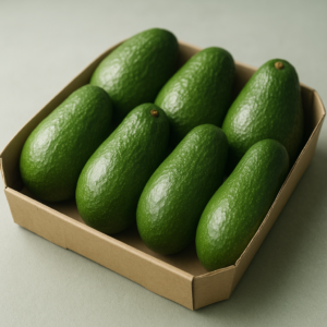 Fuerte Avocado (Pack)