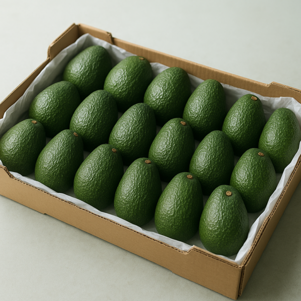 Hass avocado, count 18, class I