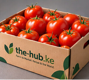 Concept packaging image: local-grade tomatoes in a branded The-Hub export carton. Not a production photograph.