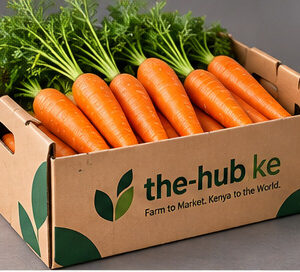 Concept packaging image: carrots in a branded The-Hub export carton. Not a production photograph.